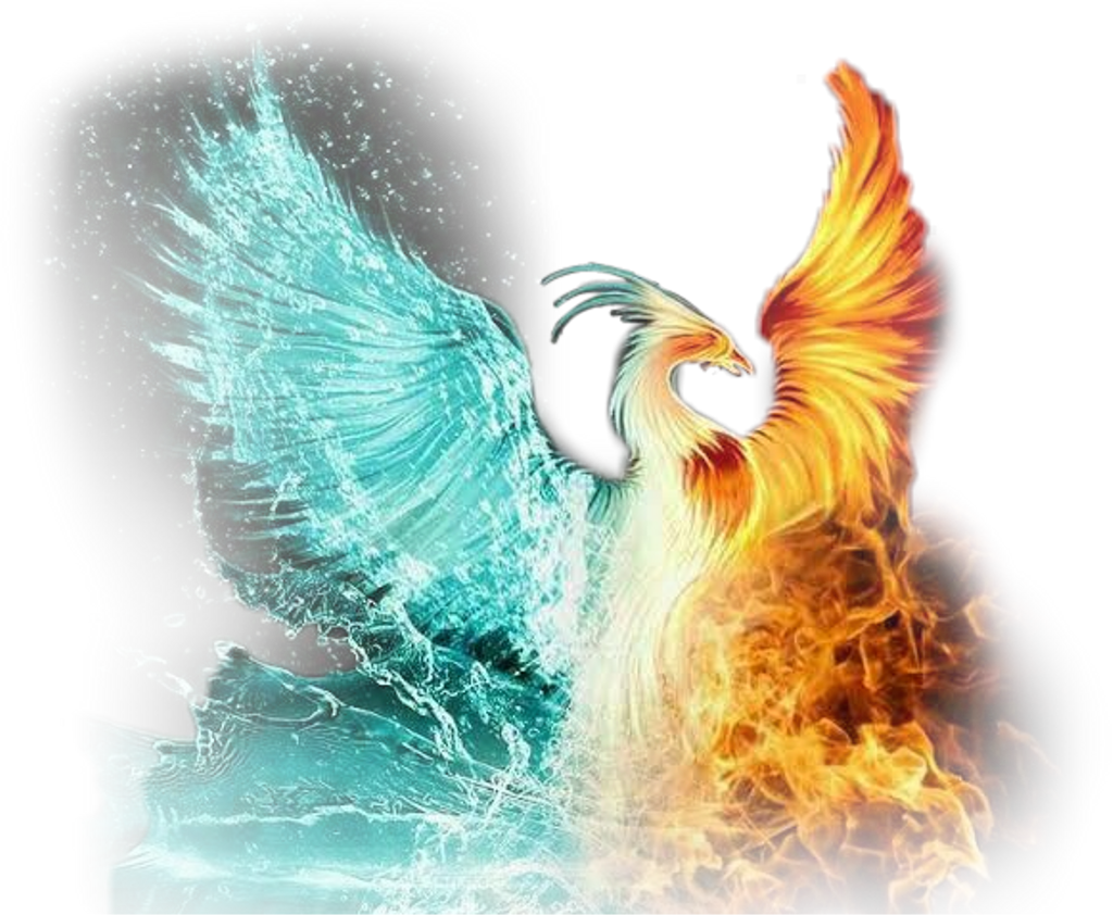 #scphoenix #phoenix #ice #fire #iceandfire #flame #fire (1024x842), Png Download