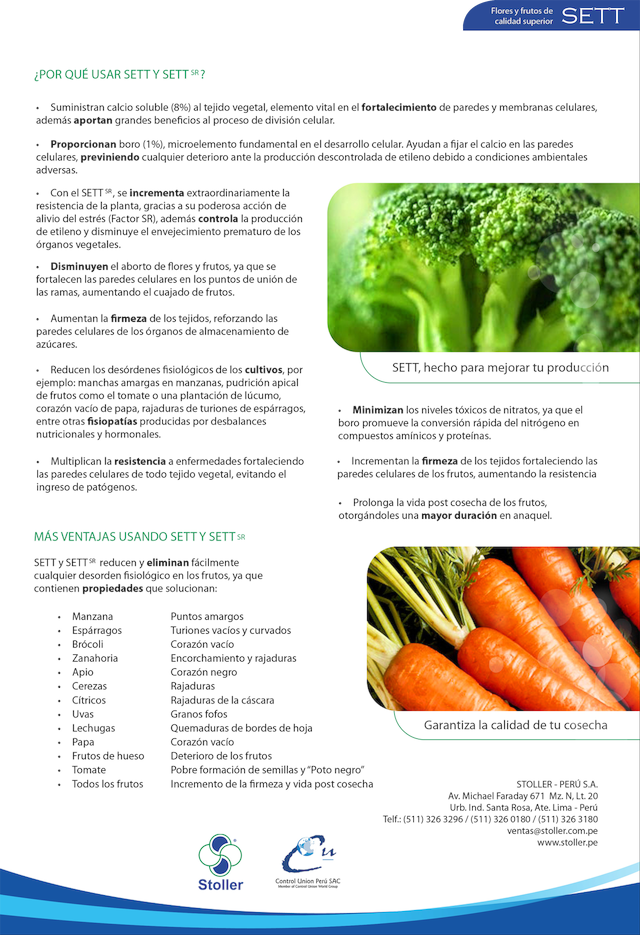 Brocoli (640x935), Png Download