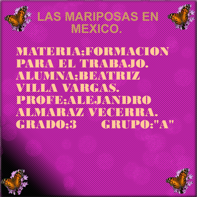 Las Mariposas En Mexico - Slogan Lingkungan (777x777), Png Download