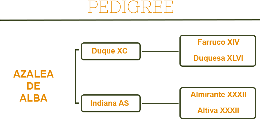 Related Projects - Number (900x600), Png Download