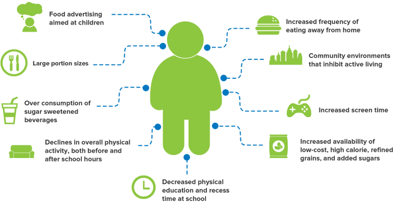 Causes Of Obesity - Childhood Obesity Factors (768x429), Png Download