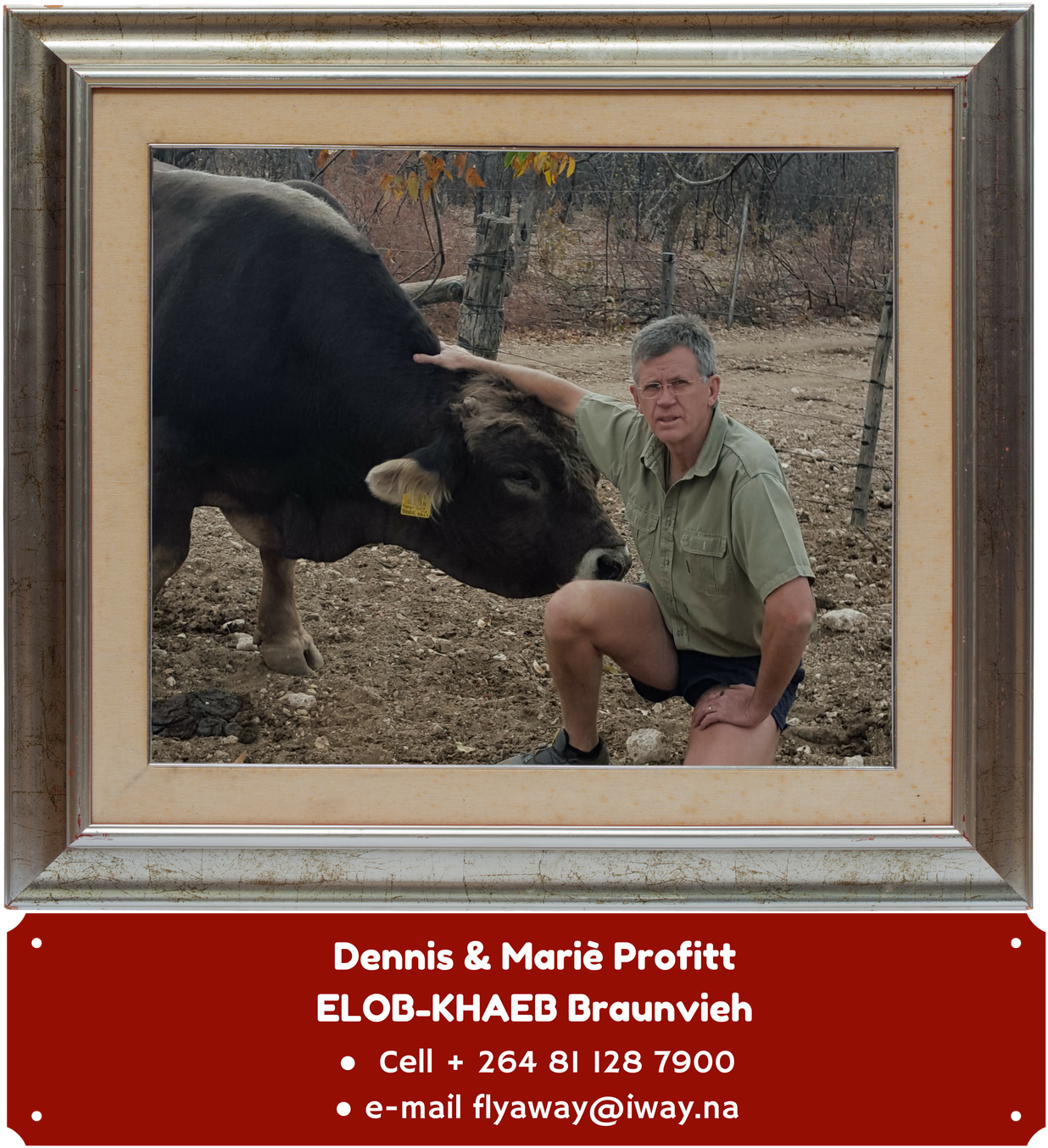 Download File - Picture Frame (1400x1400), Png Download