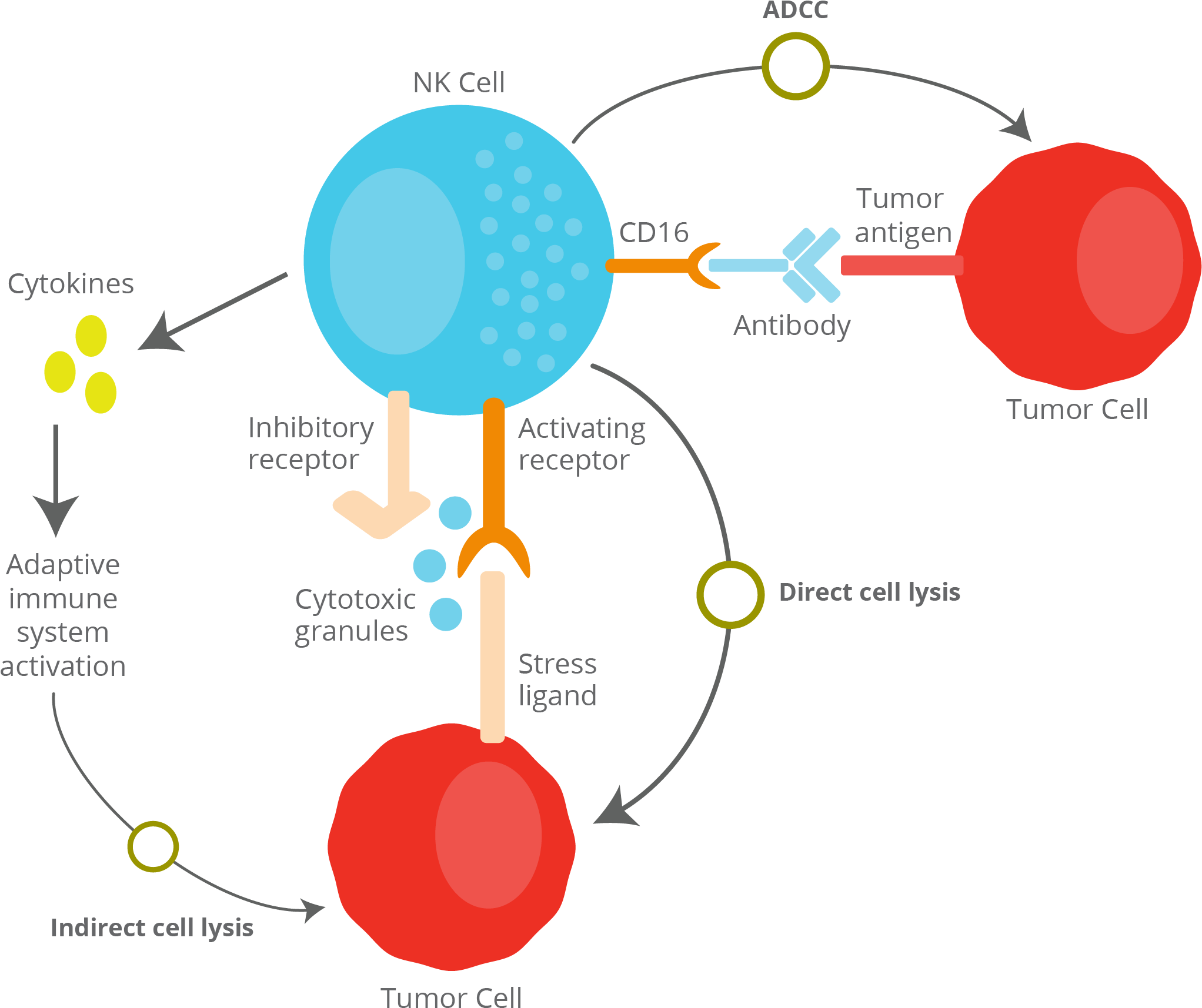 03 Jan 2019 - Diagram (2045x1733), Png Download