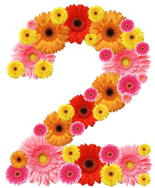 2 Number Png Hd Image - Number 2 Floral Design (720x720), Png Download