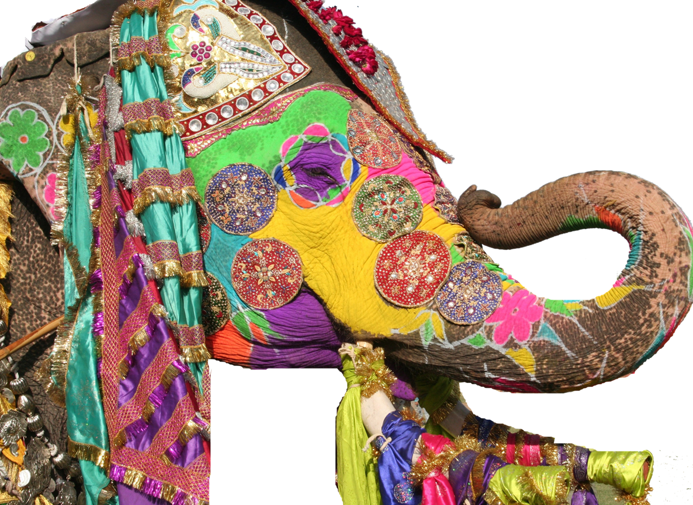 Jaipur Elephant Festival Png Photo Background - Festival (1400x1020), Png Download