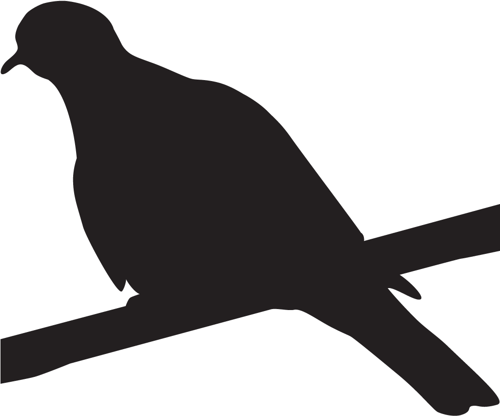 Birds Nest Clipart Doves - Bird Shape (1024x1024), Png Download