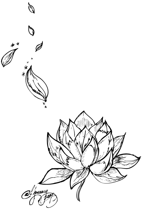 Tattoo Flower Nelumbo Nucifera Lotus Egyptian Drawing - Rose Petals Tattoo Designs (546x774), Png Download