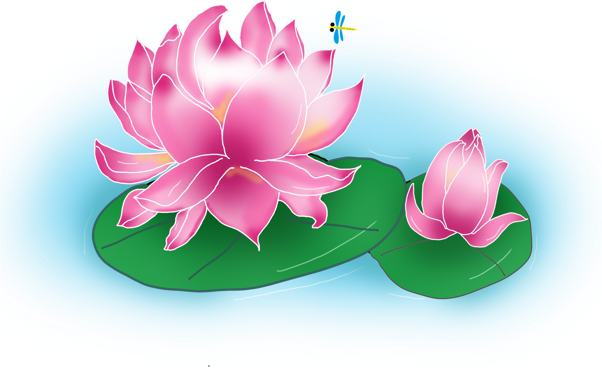 Lotus D'été Scène De D'étang Png Et Psd - Sacred Lotus (2000x2000), Png Download