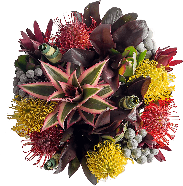 Vibrant Exotic Bouquet Flowers Box London Flowers Box - Bouquet (761x761), Png Download