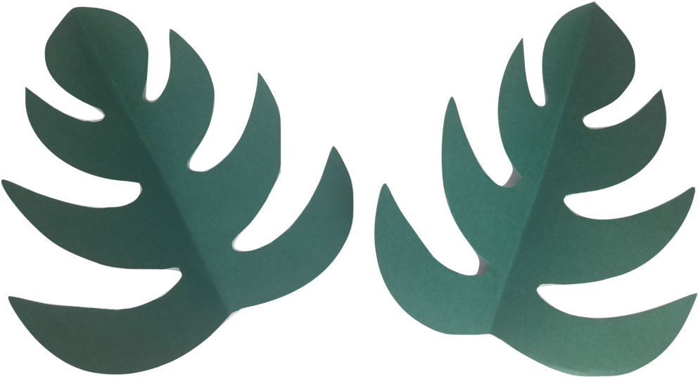 Paper Leaf Set Of 2 - Aloe (1024x587), Png Download