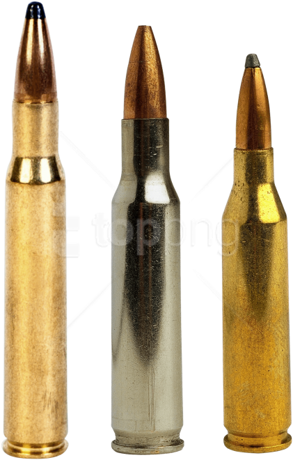 Free Png Download Bullet Png Png Images Background - Mpeg 4 Parte 14 (481x739), Png Download