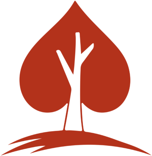 Acelogoonly - Emblem (1000x547), Png Download