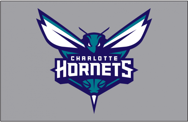 Charlotte Hornets Logos Iron On Stickers And Peel-off - Cool Charlotte Hornets Logo (750x930), Png Download