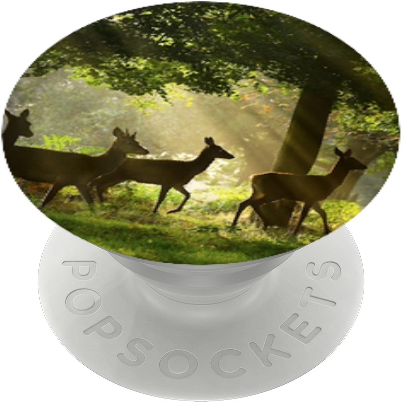 Deer Wildlife🦌, Popsockets (989x1000), Png Download