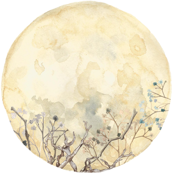 "compare It To The Moon Cecilua, What You've Been Taught - Circle (800x800), Png Download