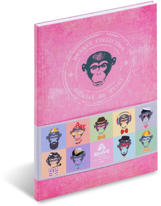 Cycle Of Animal Funny Monkey - Construction Paper (900x900), Png Download