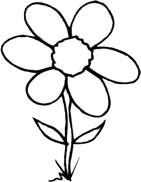Largest And Collection Of Flower Clipart Images In - Black And White Picture Of Flower Clip Art (540x702), Png Download