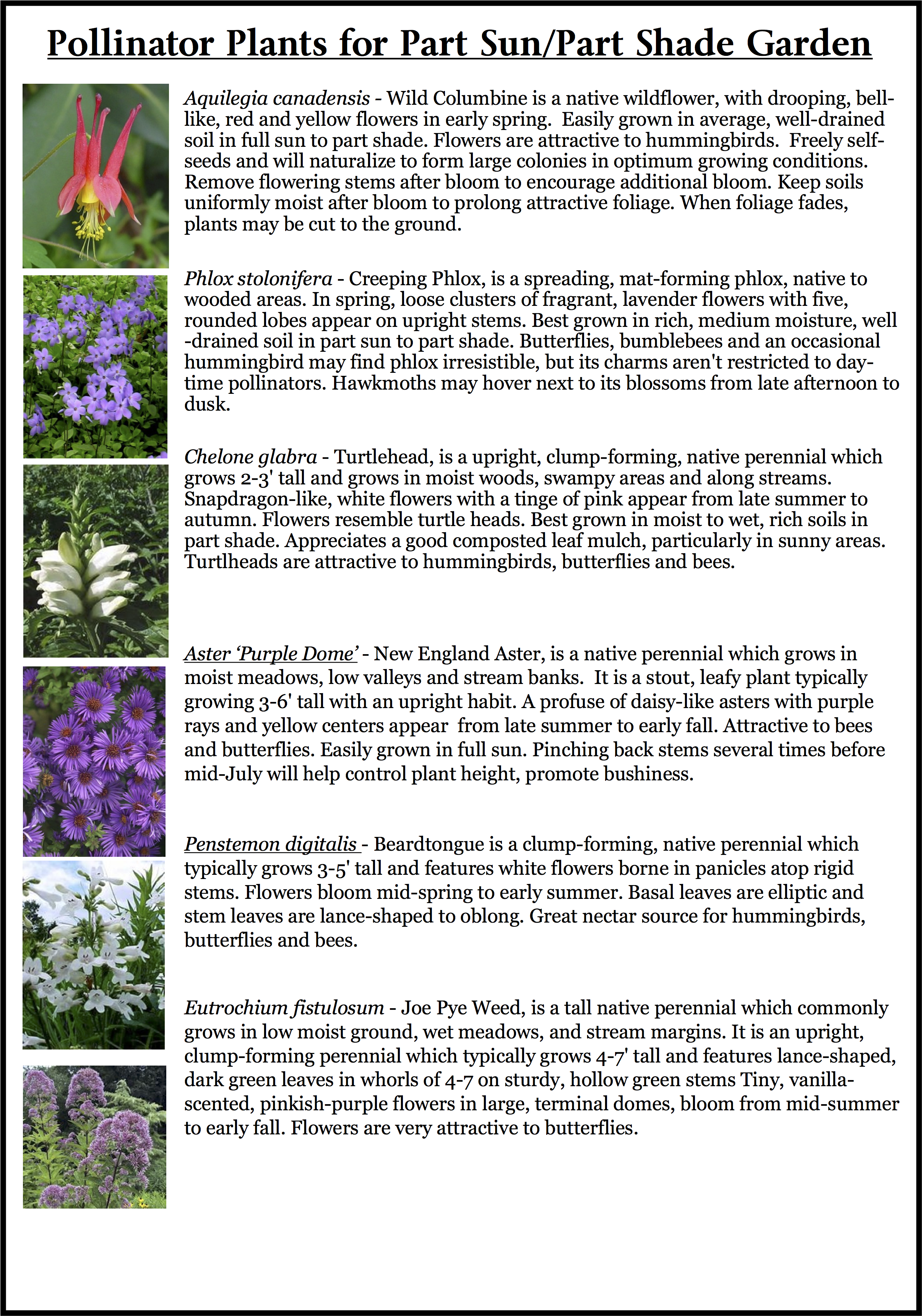 Pollinator - Flowers Great Plains Early Summer (2974x3849), Png Download