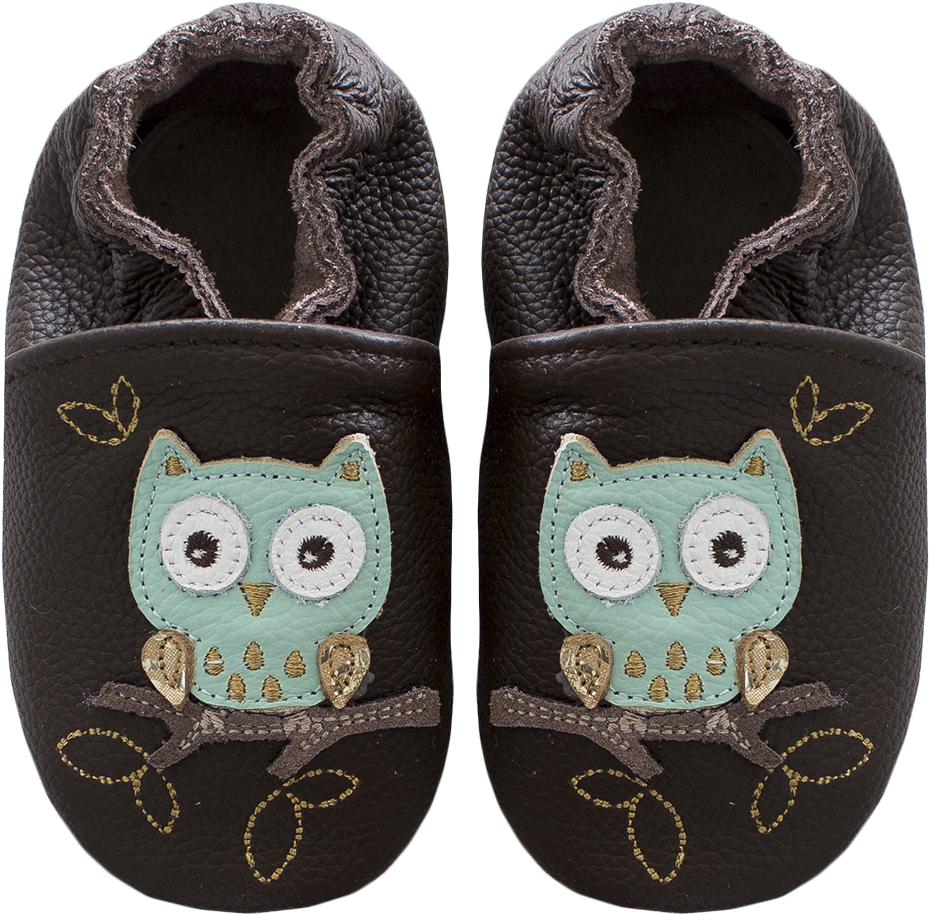 Night Owl Brown - Bird Of Prey (1000x968), Png Download
