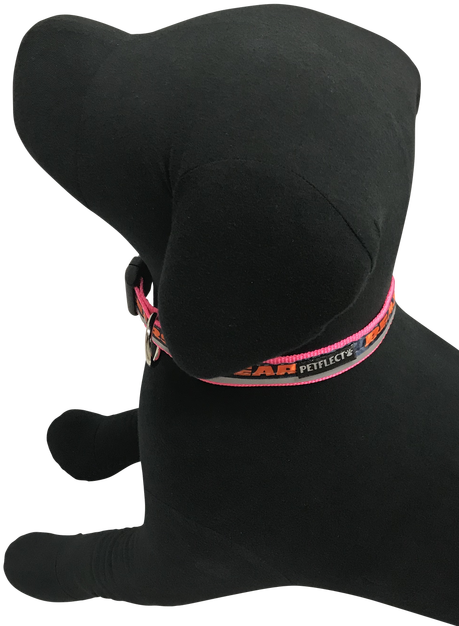 Chicago Bears Dog Collar - Baseball Cap (499x659), Png Download