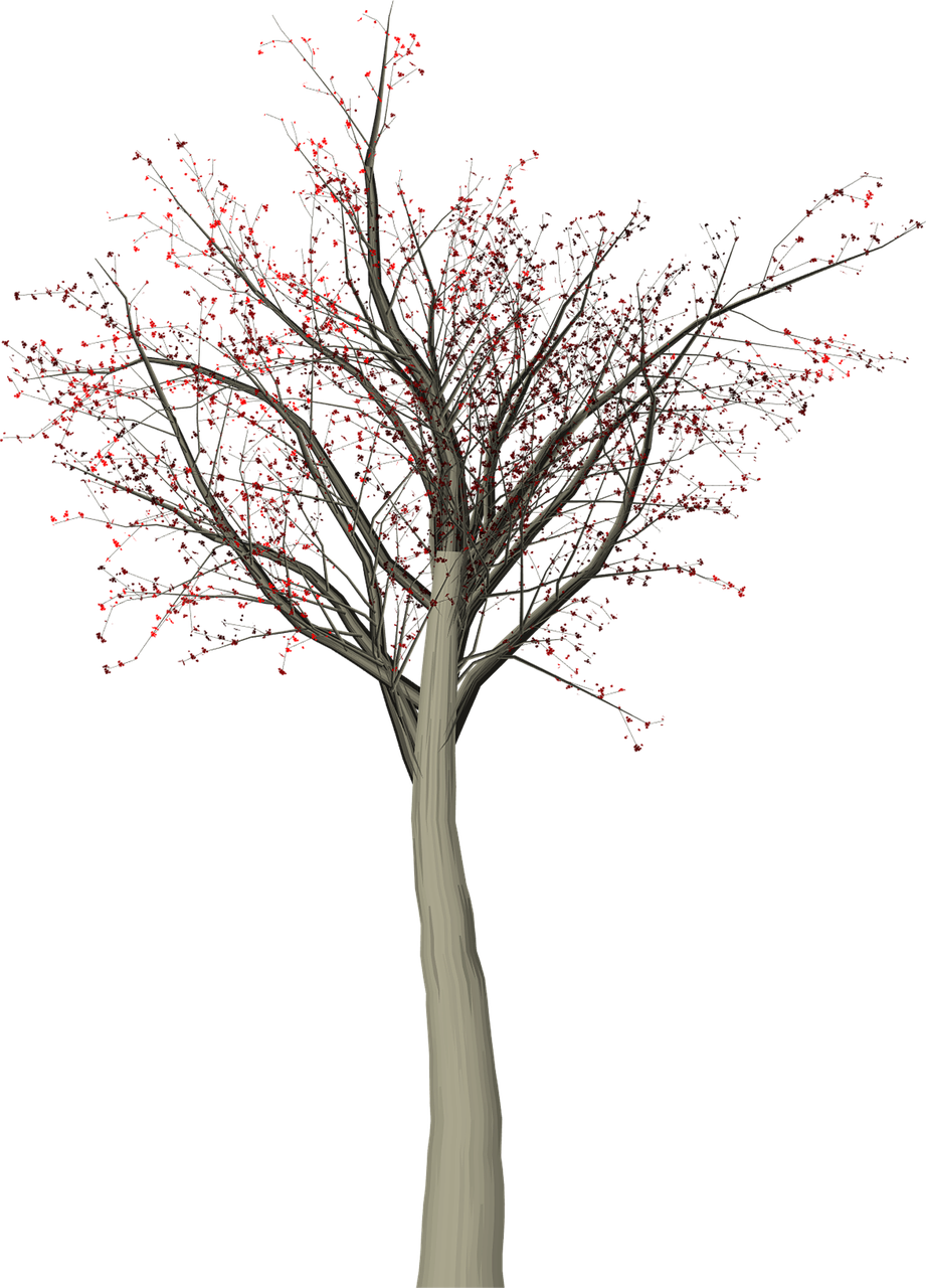 Tree Leaves Autumn - Art (921x1280), Png Download