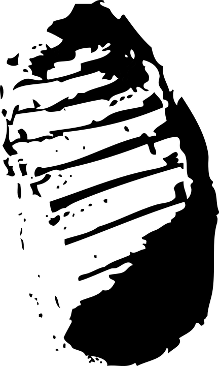Png Transparent Library Free Image On Pixabay Footprint - Moon Footprint Png (432x720), Png Download