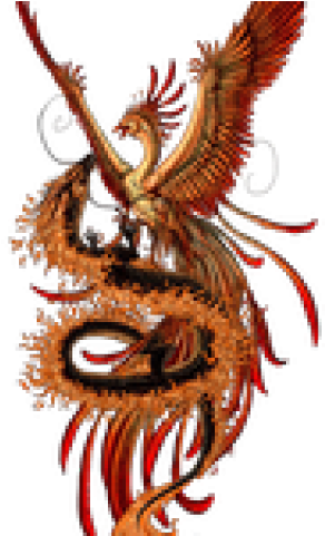 Phoenix Tattoos Png Transparent Images - Colored Phoenix Tattoo Designs (640x480), Png Download