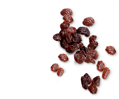 Left Vignette - - Raisin (581x630), Png Download