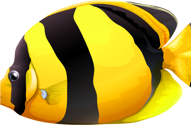 Butterflyfish Clipart Fish Tank - Vagabond Butterflyfish (640x480), Png Download