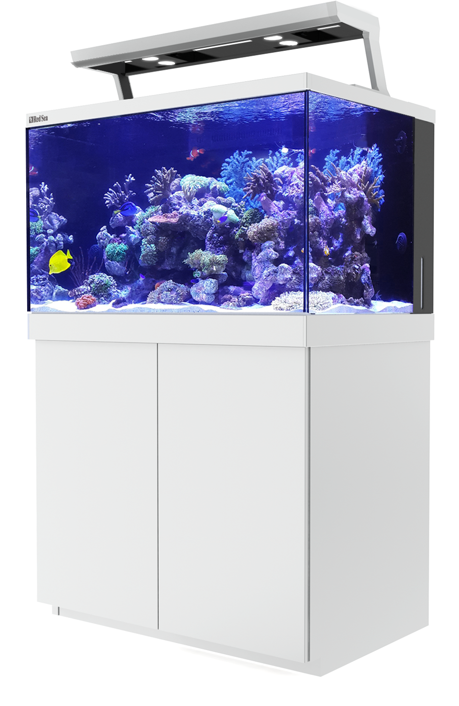 930 X 1500 1 - Red Sea Reefer Deluxe 450 (930x1500), Png Download