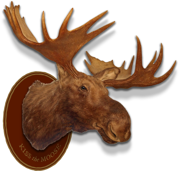 Left Header Flourish Right Header Flourish Moose Head - Angry Moose (703x655), Png Download
