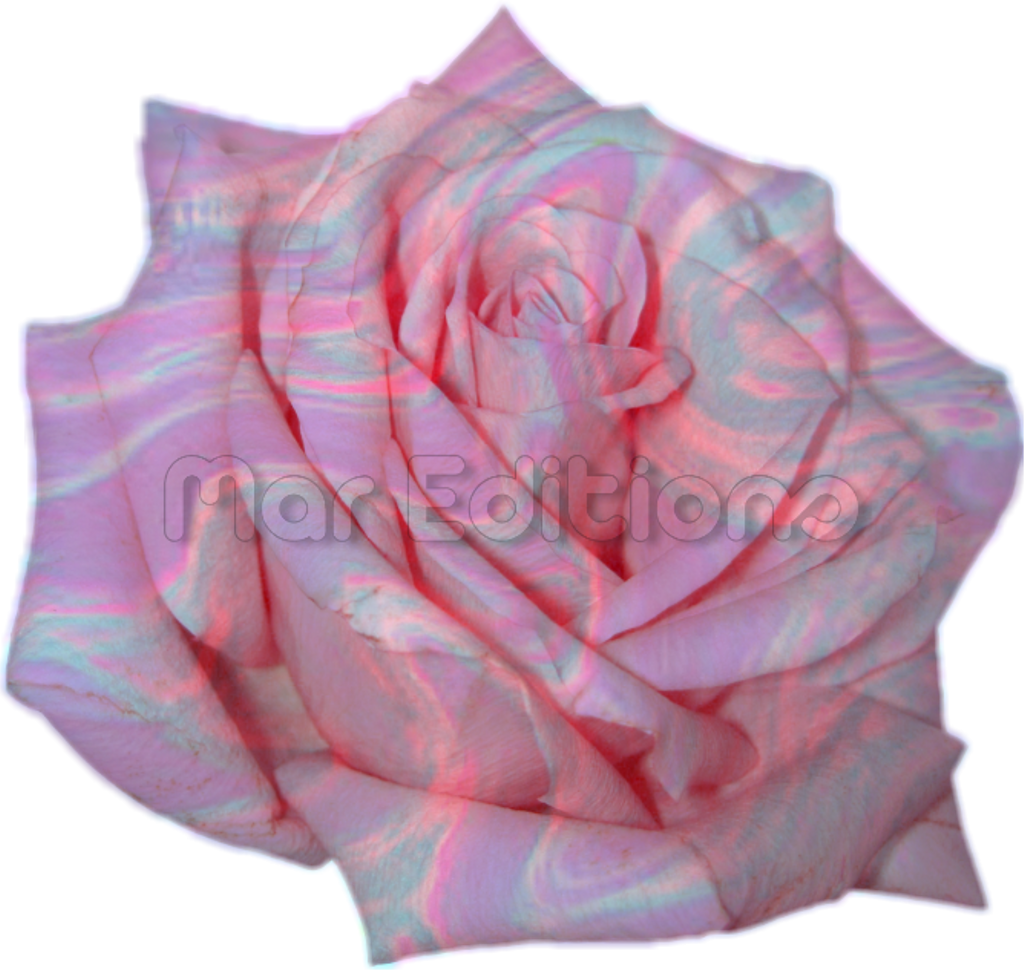 New Sticker 💕🌸 Flor Tumblr En Png Para Tus Edits😍👑 (1024x970), Png Download