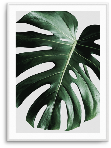 On Grey Monstera - Painting (600x756), Png Download