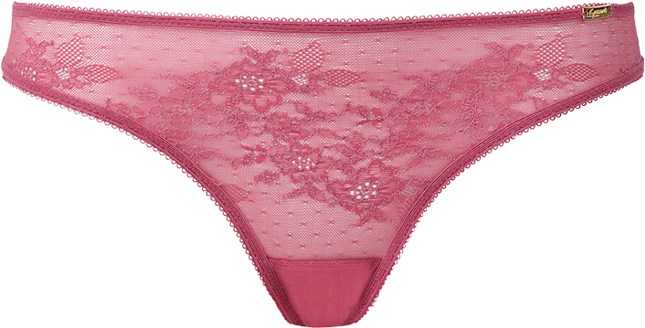 Glossies Lace Brief Whisper Pink Product Front - Thong (800x1000), Png Download