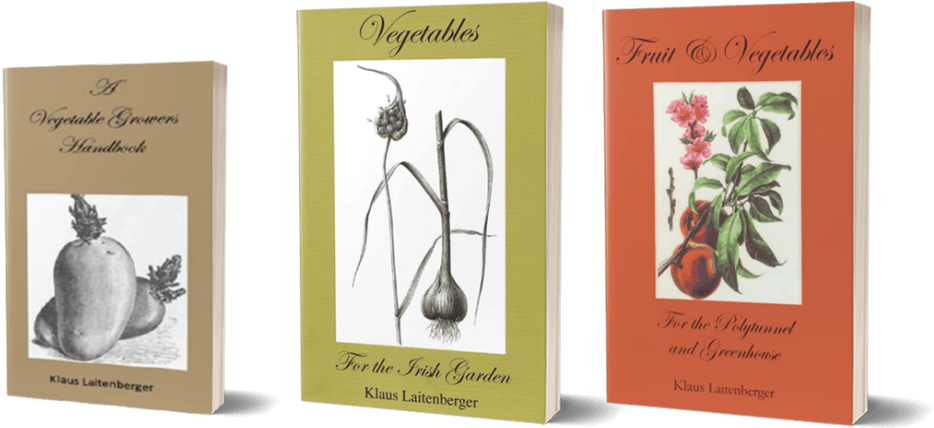 Buy Books - Persian Buttercup (1024x458), Png Download