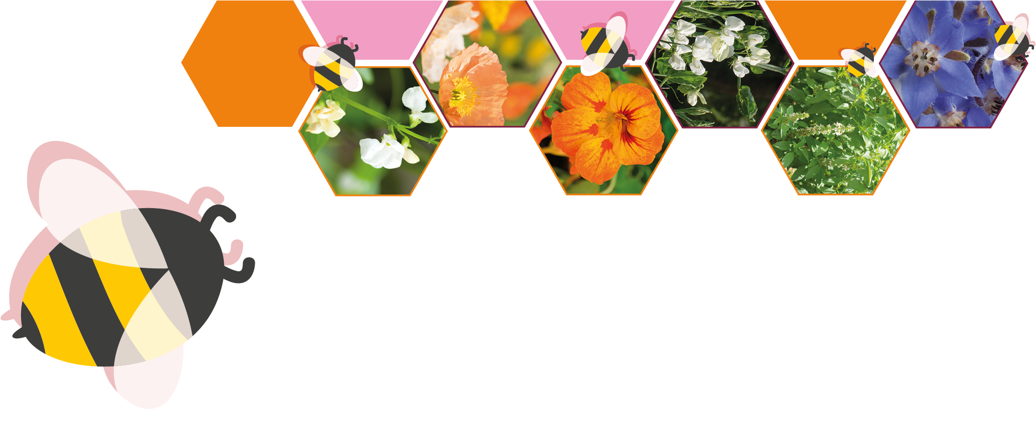 A Mix Of Carefully Selected Herbs, Edible Flowers And - Illustration (2150x886), Png Download