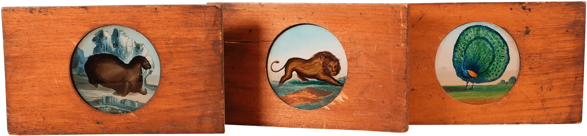 Three Glass Slides With Primitive Hand Painted Animals - Painting (2100x1391), Png Download