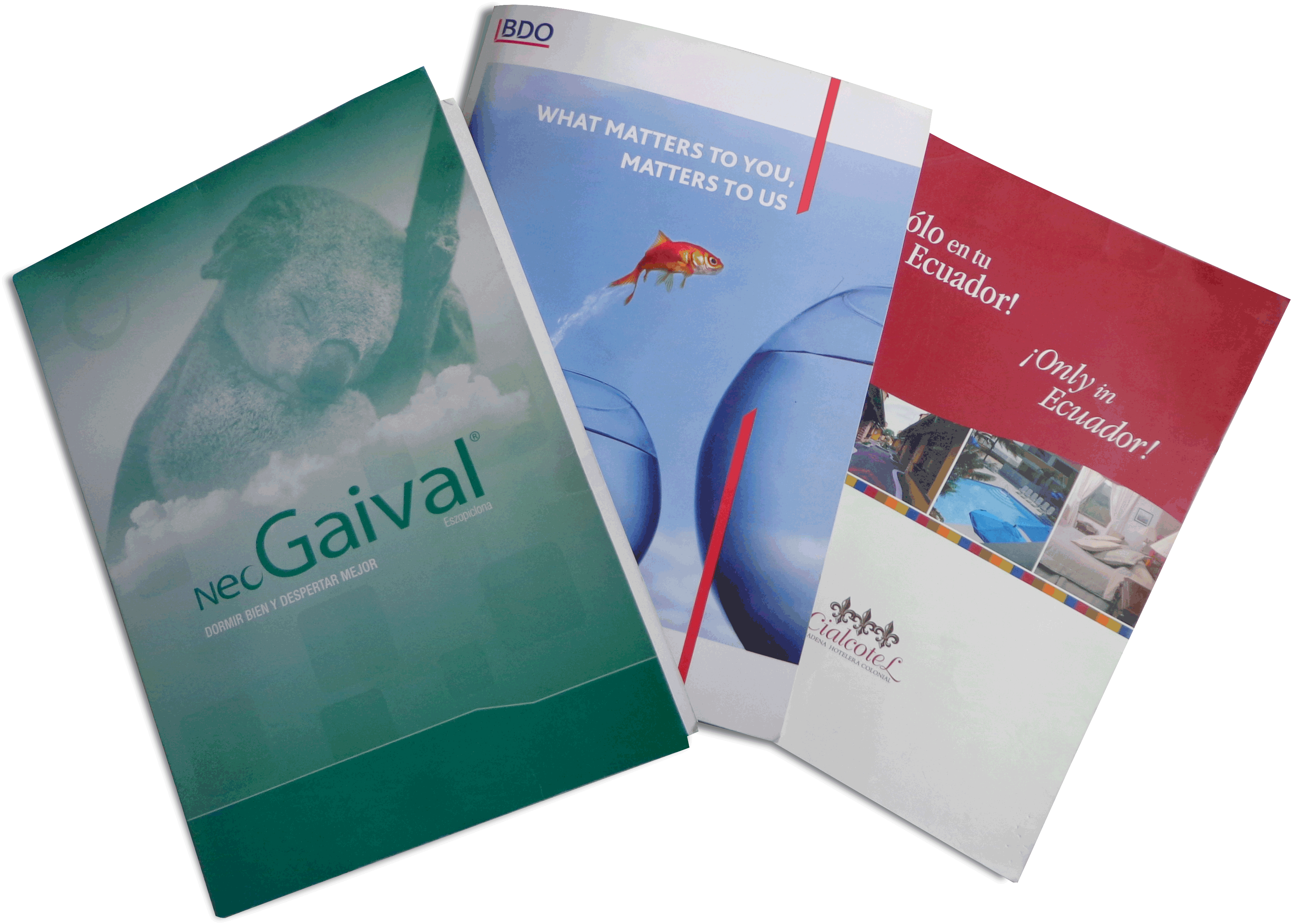 Diseño Carpetas Corporativas - Flyer (3804x2784), Png Download