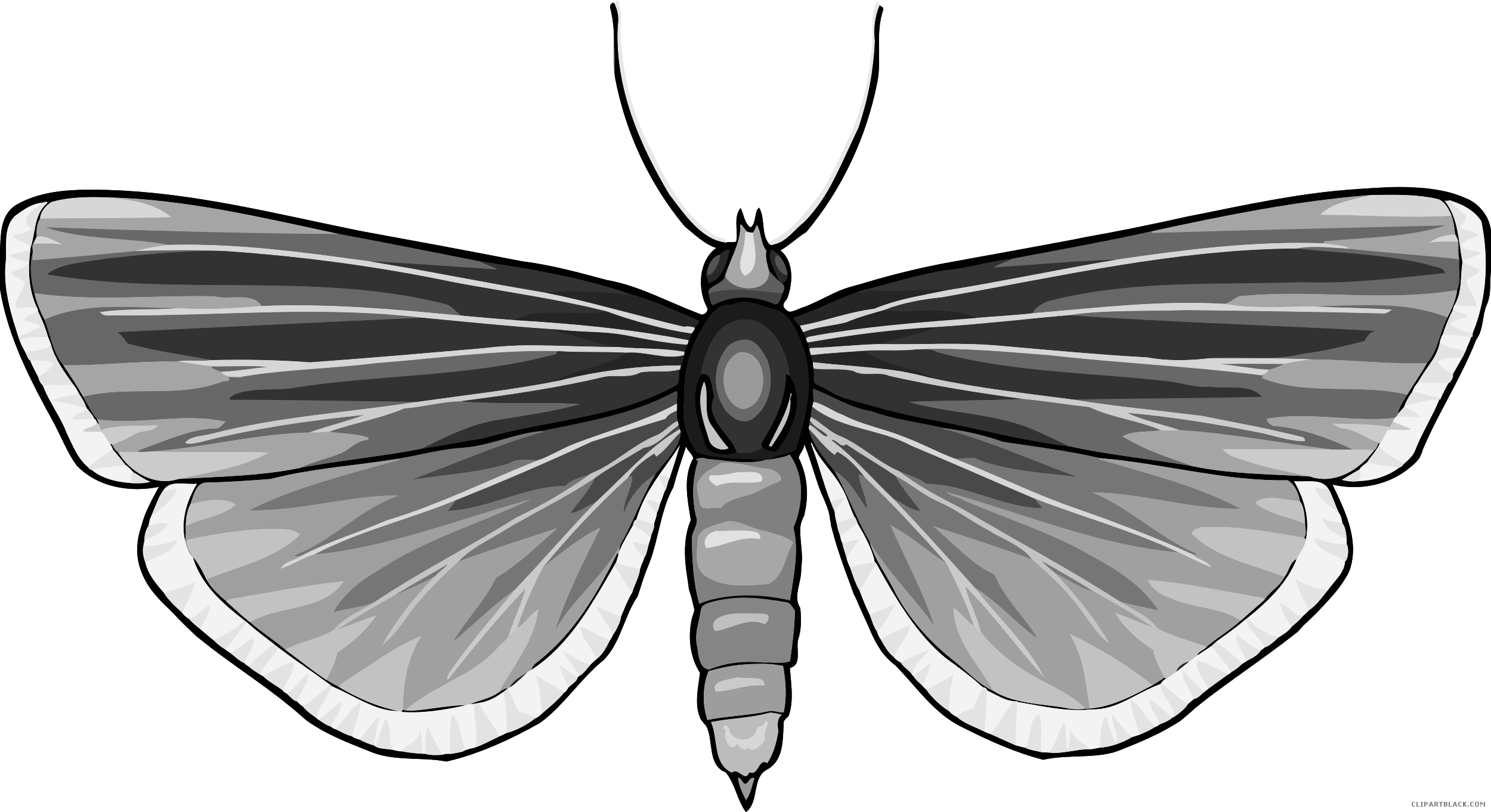 Grayscale Butterfly Animal Free Black White Clipart - Butterfly (2500x1362), Png Download