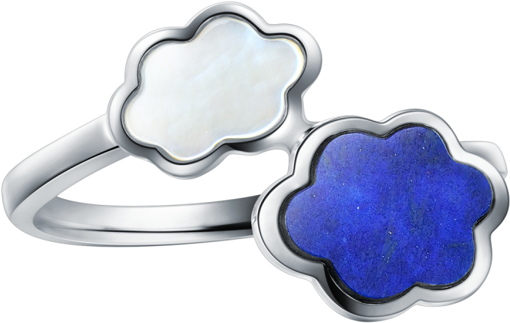 Reservation - Ring (800x800), Png Download