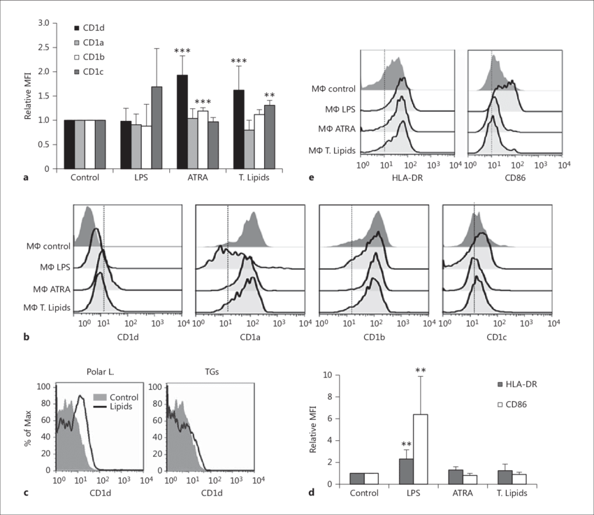 Olive Pollen Lip - Illustration (850x737), Png Download