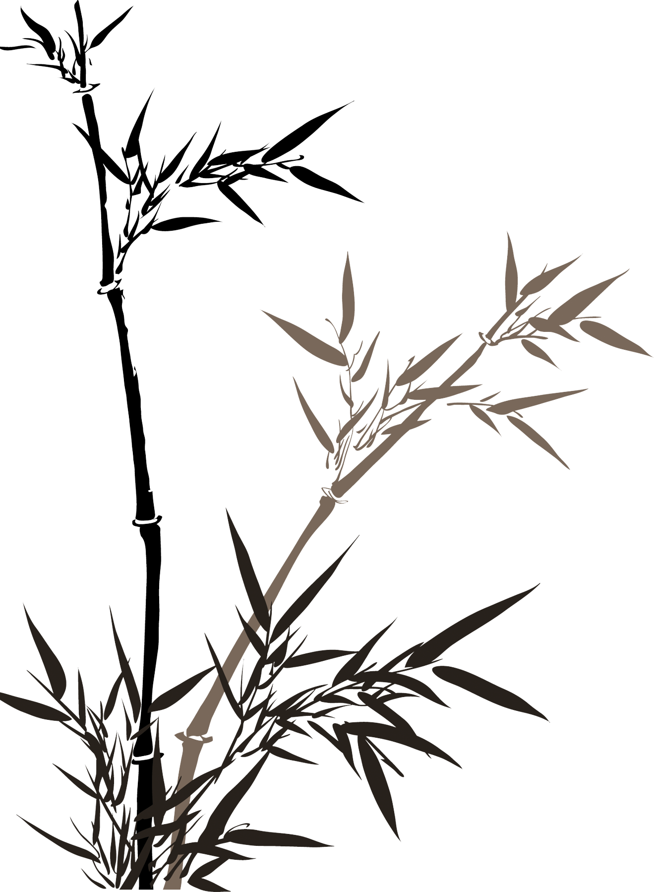 China Bamboo Wash - Chinese Bamboo Ink Painting (1319x1798), Png Download