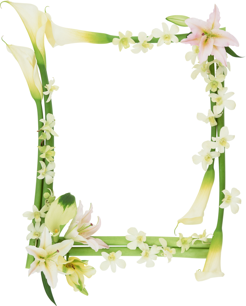 Go To Image - Mau Chu Sang Tao Dep Nhat (804x1000), Png Download