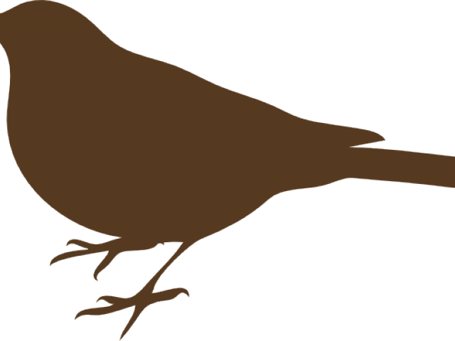 Bird Silhouette Clip Art (640x480), Png Download