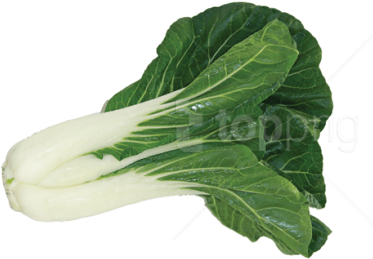 Download Bok Choy Image Png Images Background - Bok Choy Transparent Background (850x396), Png Download