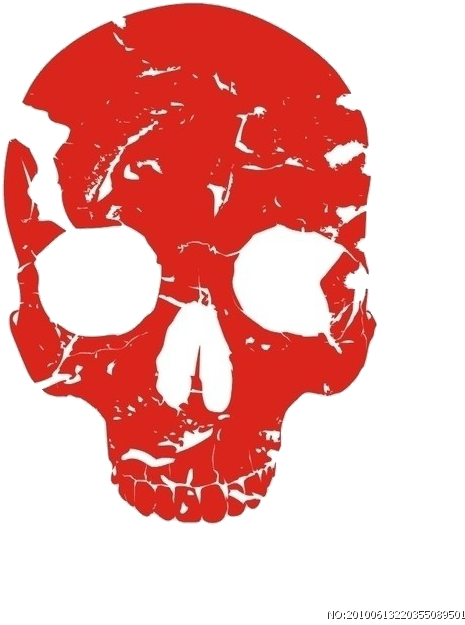 Bone Human Skull Skeleton Free Transparent Image Hq - Skull (1024x737), Png Download