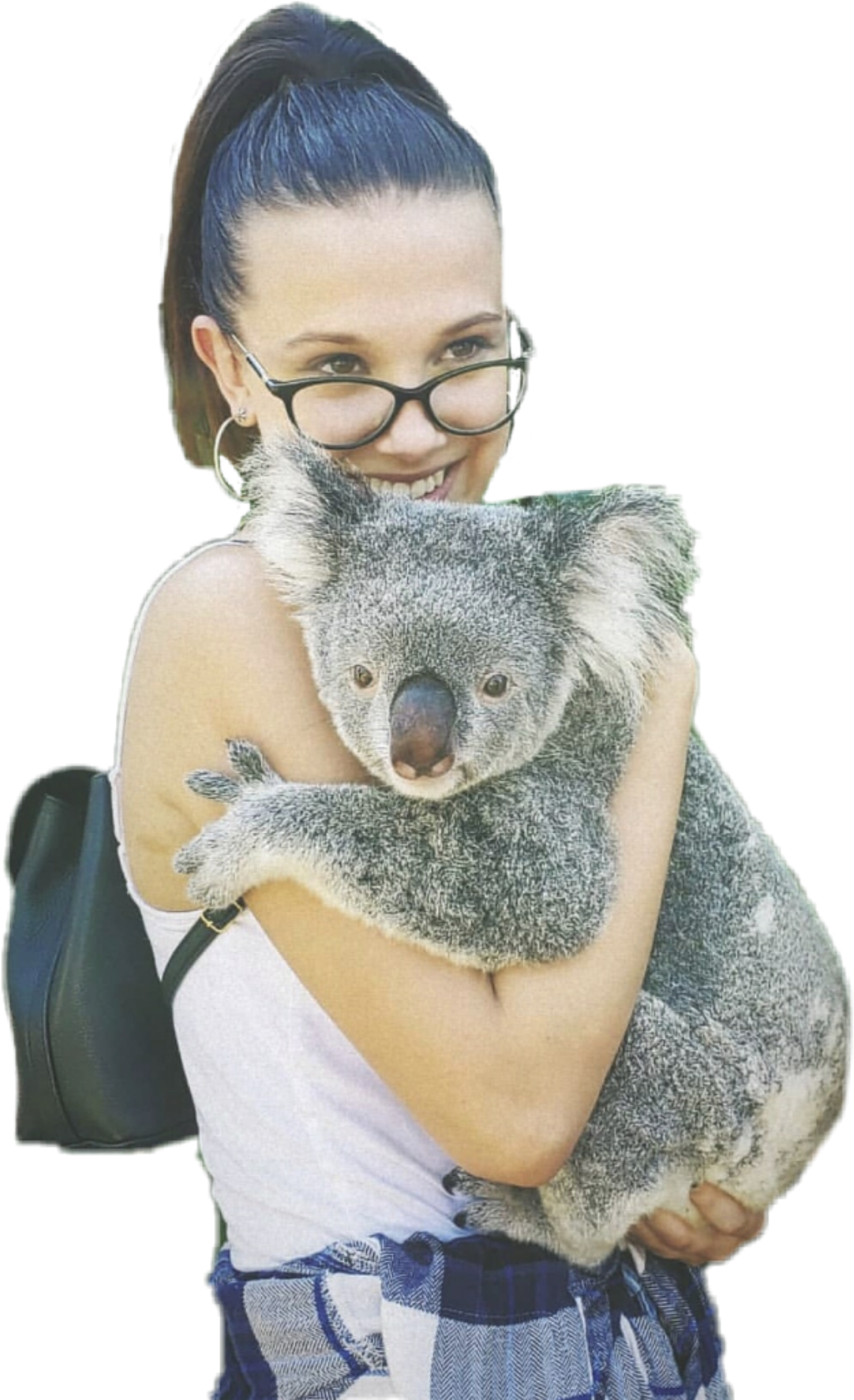 Millie Milliebobbybrown Freetoedit - Punxsutawney Phil (1773x1773), Png Download