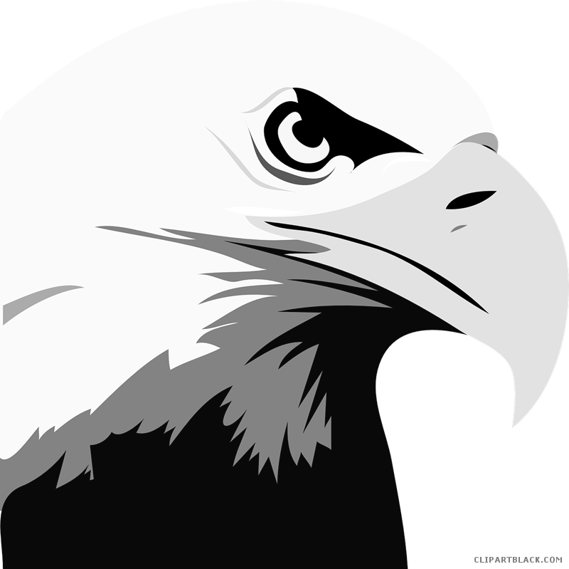 Head Animal Free Black White Images Clipartblack - Bald Eagle Black And White Clipart (800x799), Png Download