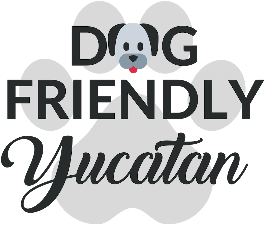 Dog Friendly Yucatan - Panda (1080x1080), Png Download