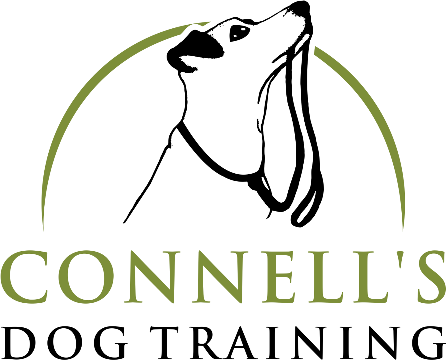 Connell S Training - Novartis (1500x1204), Png Download